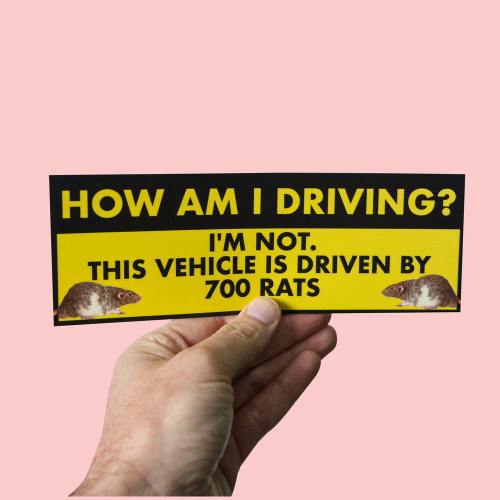 How Am I Driving? I'm Not. This Vehicle Is Driven by 700 Rats Sticker held
